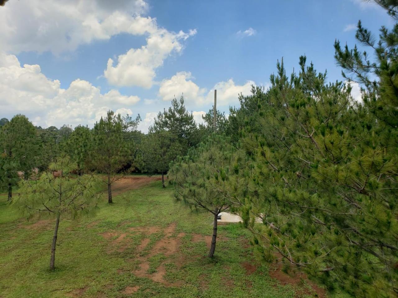 Cabanas Paseo Del Llano マサミトラ エクステリア 写真